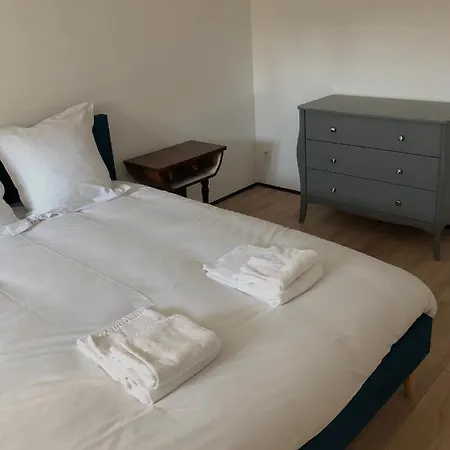 Prestige Sainte Cecile 7 - T3 Central -Jardin Partage Vichy